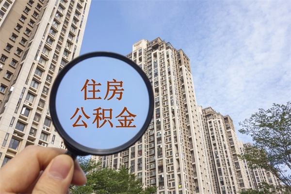 利津辞职多久公积金可以全部取出来吗（辞职之后公积金多长时间可以取）